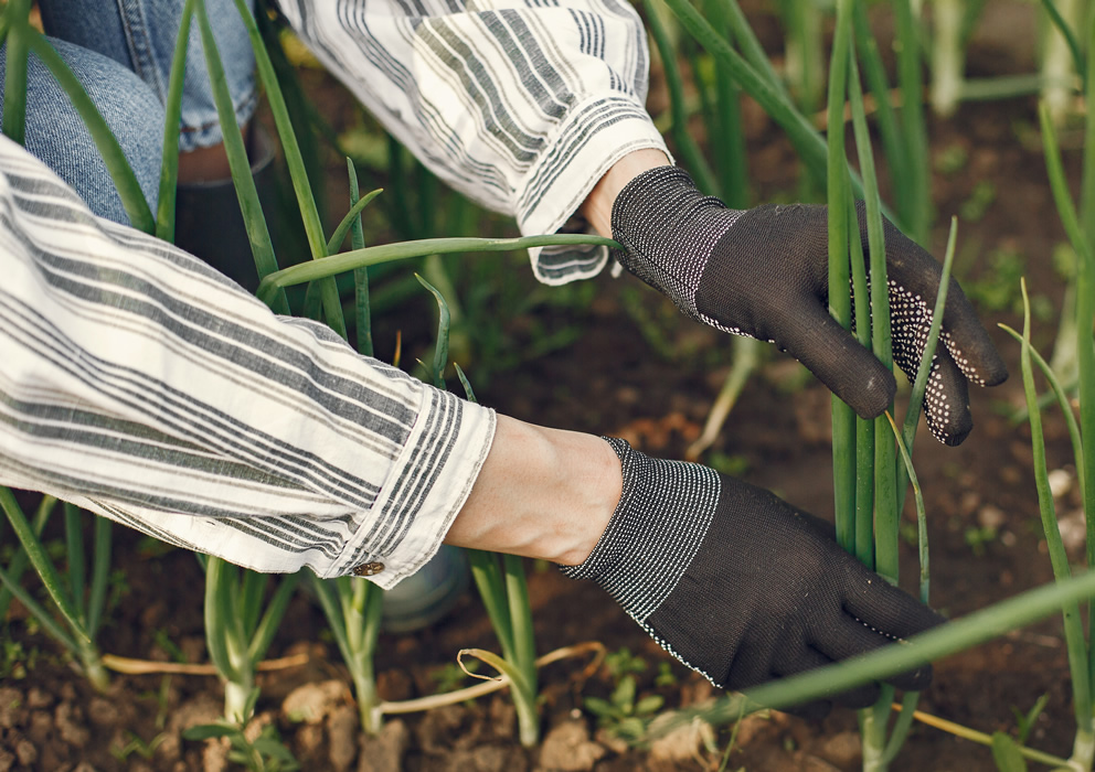 Ways Consumer Trends Impact Your Farm